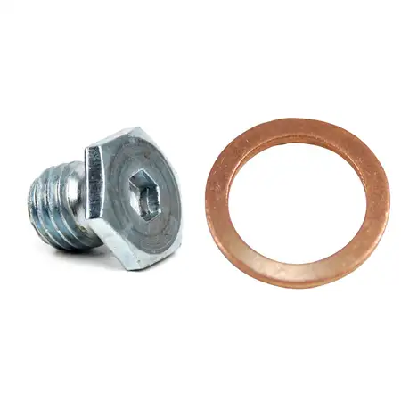 &Ouml;lablassschraube + Dichtring f&uuml;r BMW E46 E90 E91 E34 E39 E38 E31 X5 E53 Z4 E85
