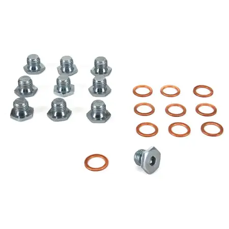 10x &Ouml;lablassschraube + Dichtring BMW E46 E90 E91 E34 E39 E38 E31 X5 E53 Z4 E85