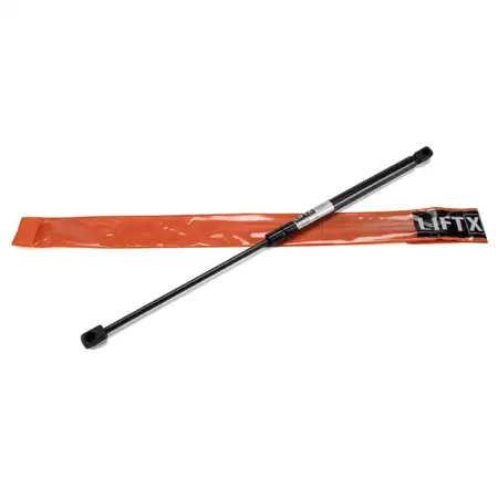 LIFTX Heckklappend&auml;mpfer Gasdruckd&auml;mpfer FORD Focus 1 MK1 (DNW) 1146649