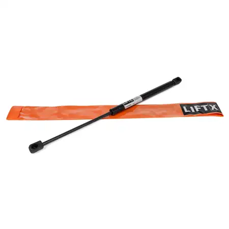 LIFTX Heckklappend&auml;mpfer Gasdruckd&auml;mpfer PEUGEOT 206 CC (2D) 8731F2