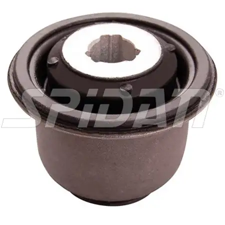 SPIDAN Querlenkerlager NISSAN KUBISTAR RENAULT CLIO II KANGOO TWINGO II vorne