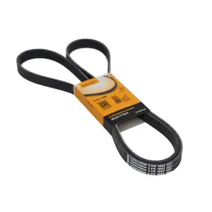 Conti CONTITECH Keilrippenriemen 6PK1885 AUDI CITROEN DAEWOO MERCEDES PEUGEOT
