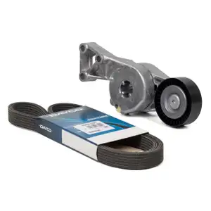 CONTI 6DPK1195 Keilrippenriemen + INA Spanner A3 LEON OCTAVIA GOLF 4 T5 1.6-2.0