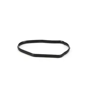 ELRING Dichtung Thermostatgeh&auml;use BMW 1er E87 3er E90-93 5er E60 f&uuml;r M47 M57 N57