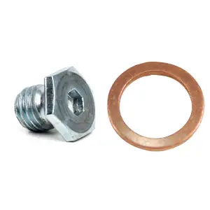 &Ouml;lablassschraube + Dichtring f&uuml;r BMW E46 E90 E91 E34 E39 E38 E31 X5 E53 Z4 E85