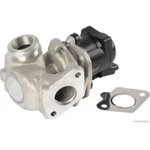 HERTH+BUSS JAKOPARTS AGR Ventil CITROEN C3 FORD FOCUS 2 MK2 MINI R56 PEUGEOT 207