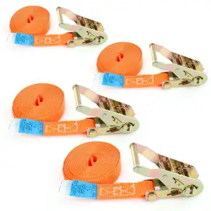 4x 750 kg daN 5m Spanngurt 1-teilig Ratschengurt Zurrgurt 7500N 1,5t DIN EN