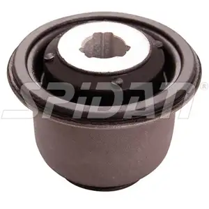 SPIDAN Querlenkerlager NISSAN KUBISTAR RENAULT CLIO II KANGOO TWINGO II vorne