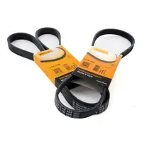 2x CONTI 6PK1538 + 5PK865 Keilrippenriemen f&uuml;r BMW 3er E46 5er E39 X5 Z3 M52 M54