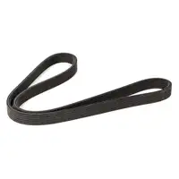 CONTI 6DPK1195 Keilrippenriemen + INA Spanner A3 LEON OCTAVIA GOLF 4 T5 1.6-2.0