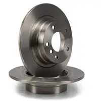 DELPHI Bremsscheiben f&uuml;r BMW E81 E87 116-20i 116d E90/92 316-20i 316/18d hinten