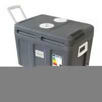 Dino KRAFTPAKET 131002 40L K&uuml;hlbox 12V 230V thermoelektrische Warmhaltebox