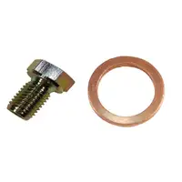 &Ouml;lablassschraube + Dichtring BMW E36 E46 E34 E39 E60 E61 E38 E65 E31 X3 X5 Z3 Z4