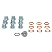 10x &Ouml;lablassschraube + Dichtring FORD C-MAX FOCUS 2 GALAXY KUGA I MONDEO 4 S-MAX