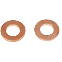 10x &Ouml;lablassschraube + Dichtring M10x1,25 L&auml;nge 13 mm f&uuml;r CITROEN FORD PEUGEOT