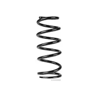 HERTH+BUSS JAKOPARTS Fahrwerksfeder Schraubenfeder LEXUS IS C (GSE2_) 250 vorne