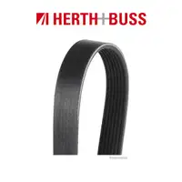 HERTH+BUSS JAKOPARTS Keilrippenriemen NISSAN MICRA IV (K13) 1.2 80 PS ohne Klima