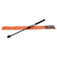 LIFTX Heckklappend&auml;mpfer Gasdruckd&auml;mpfer PEUGEOT 206 CC (2D) 8731F2