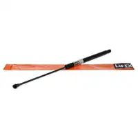 LIFTX Heckklappend&auml;mpfer D&auml;mpfer RENAULT Laguna 3 Grandtour 844300004R