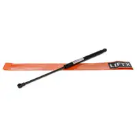 LIFTX Heckklappend&auml;mpfer Gasdruckd&auml;mpfer SMART Fortwo Coupe (451) 4519880004