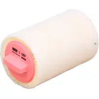 MANN Luftfilter Motorluftfilter f&uuml;r Mini R55 R56 R57 R58 R59 R60 R61 13718509032