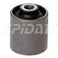 SPIDAN Achsk&ouml;rperlager CITROEN EVASION JUMPY f&uuml;r PEUGEOT 806 EXPERT hinten