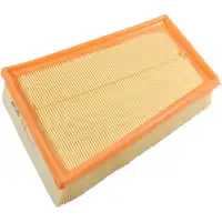 PURFLUX Luftfilter Motorluft f&uuml;r Renault Grand Scenic II Megane II Scenic II